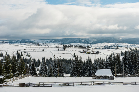 Winter countryside landscape with snow covered trees and hillsの写真素材