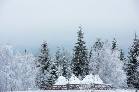Winter countryside landscape with snow covered trees and hills