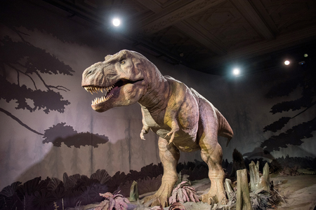 LONDON, UK - MARCH 22, 2019: Mechanical model, reconstruction of Tyrannosaurus rex moving and roaring for tourists in the Dinosaur Zone of the Natural History Museumのeditorial素材