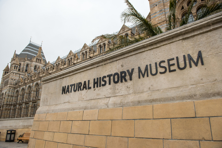 LONDON, UK - MARCH 22, 2019: The Natural History Museum in London exhibits a vast range of specimens from various segments of nature historyのeditorial素材