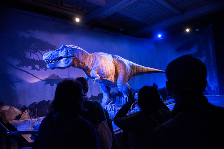 LONDON, UK - MARCH 22, 2019: Mechanical model, reconstruction of Tyrannosaurus rex moving and roaring for tourists in the Dinosaur Zone of the Natural History Museumのeditorial素材