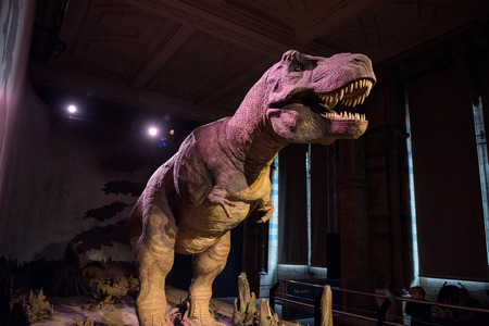 LONDON, UK - MARCH 22, 2019: Mechanical model, reconstruction of Tyrannosaurus rex moving and roaring for tourists in the Dinosaur Zone of the Natural History Museumのeditorial素材