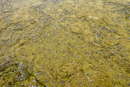 Eldhraun lava field, Iceland. Aerial drone viewの写真素材