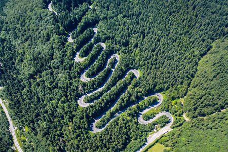 Aerial top view of a winding road in green forest by drone