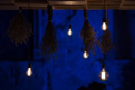 Hanging glowing led bulbs in the dark