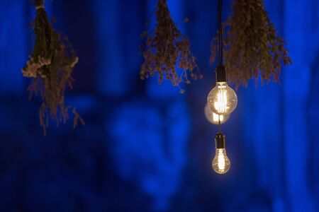 Hanging glowing led bulbs in the dark