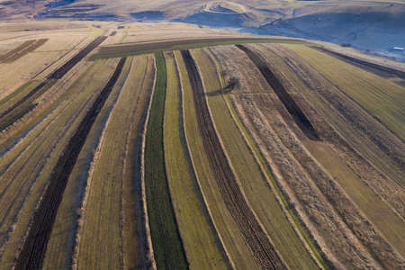Above aerial view over agricultural fields in the autumnの写真素材