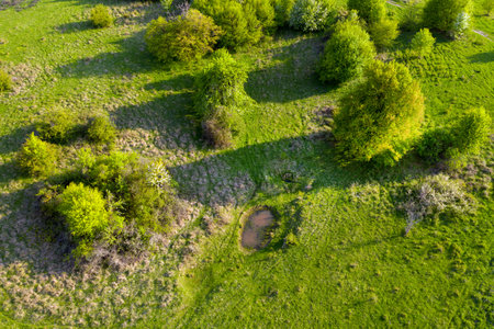 Aerial view of green pasture with small natural drinking ponds for buffalos and farm animals. Transylvania, Romaniaの写真素材