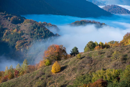 Morning mist in the mountains in a sunny autumn day. Colorful fall forestの写真素材