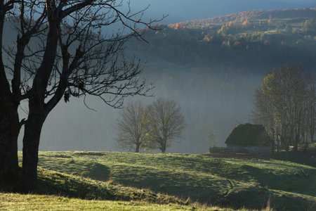 Autumn countryside landscape with wooden houses, thatched roof during sunriseの写真素材
