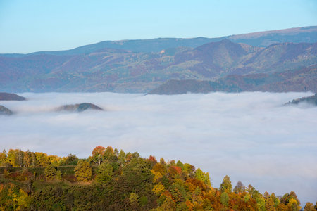 Mist in the mountains in the autumn. Colorful treesの写真素材