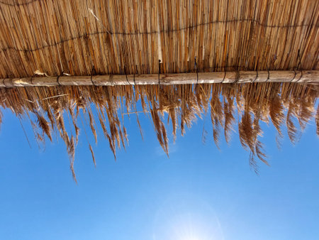 Straw hay roof against blue sky backgroundの写真素材