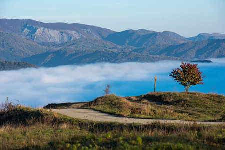 Misty morning haze in the valley in the autumn. Colorful autumn landscapeの写真素材