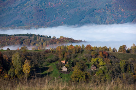 Mist in the mountains in the autumn. Colorful treesの写真素材