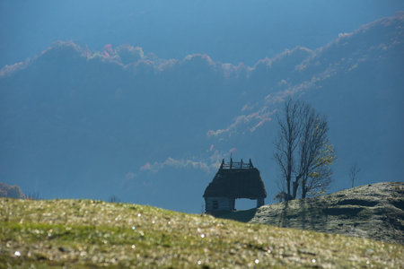 Countryside farmland in the autumn with thatched roof house, lodge, mountain cabin. Transylvania, Romaniaの写真素材