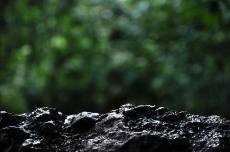 Wet limestone rock with blurry forest background in a rainy day