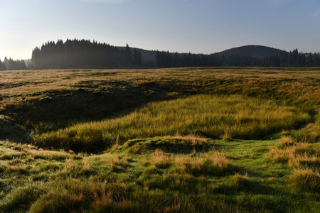 Morning mist in a mountain meadow during sunriseの写真素材