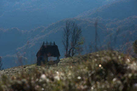 Mountain homestead in the autumn. House with thatched roof. Transylvania, Romaniaの写真素材