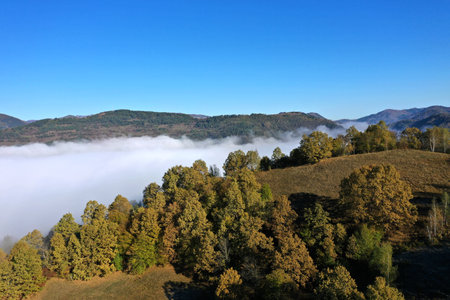 Aerial view of autumn morning mist and clouds in the valley by drone