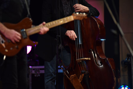 Hands of double bass player playing live on instrument strings
