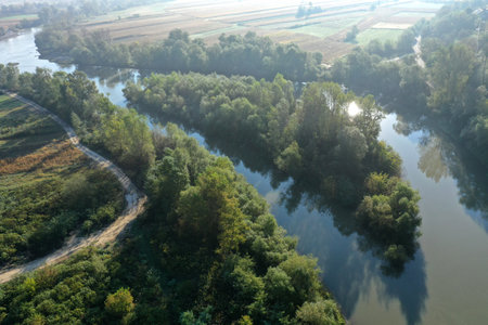 Aerial view of natural island covered with forest on a river by droneの写真素材