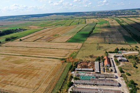 Bio farm, countryside cowshed, hangars, dairy cows, bio agricultural fields aerial by droneの写真素材