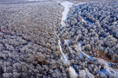 Flying over frosty winter hills and forest by droneの写真素材