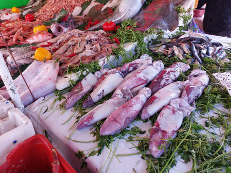 Essaouira fish market, Morocco, variety of fish and other sea organismsの写真素材