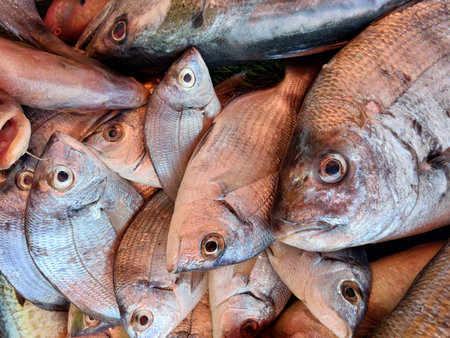 Essaouira fish market, Morocco, variety of fish and other sea organismsの写真素材
