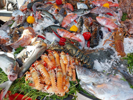 Essaouira fish market, Morocco, variety of fish and other sea organismsの写真素材