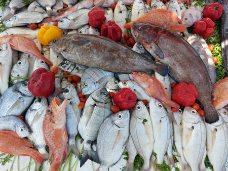 Essaouira fish market, Morocco, variety of fish and other sea organismsの写真素材