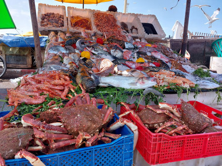 Essaouira fish market, Morocco, variety of fish and other sea organismsの写真素材