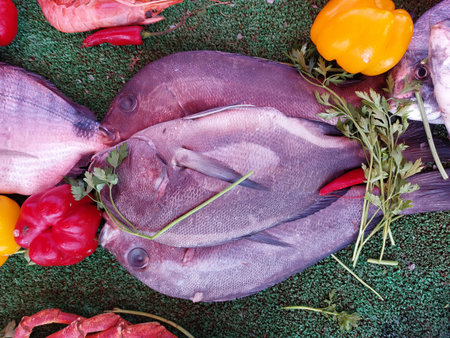 Essaouira fish market, Morocco, variety of fish and other sea organismsの写真素材