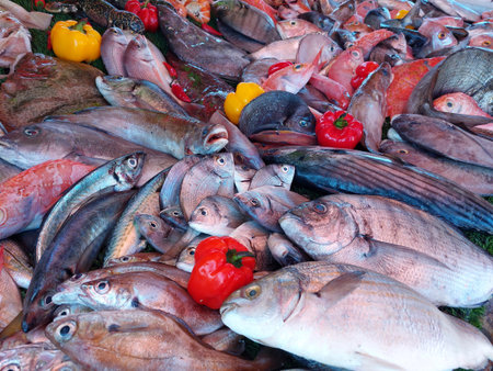 Essaouira fish market, Morocco, variety of fish and other sea organismsの写真素材