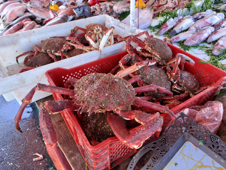 Essaouira fish market, Morocco, variety of fish and other sea organismsの写真素材
