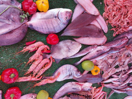 Essaouira fish market, Morocco, variety of fish and other sea organismsの写真素材