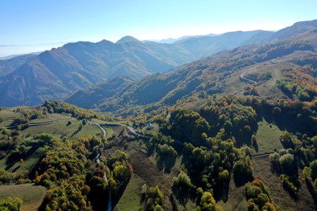 Aerial view of colorful autumn forest covered mountains in the autumn by droneの写真素材