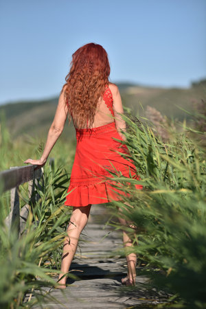 Woman with red hair in red dress walking through a wooden footbridge in reedsの写真素材