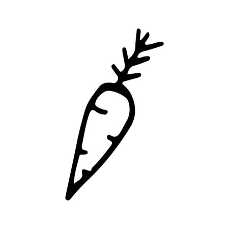 Black and white carrot doodle sketch.のイラスト素材