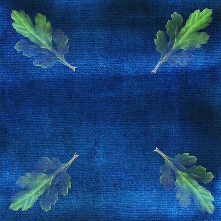 Oak leaves on blue watercolor background. Ornate, card, frame.の写真素材