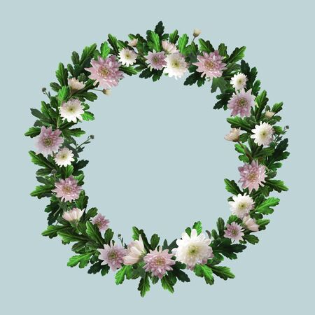 Wreath of flowers with space for text. Round frame with white and pink chrysanthemums, green leaves and twigs. Flowers and plants are arranged in a circle.の写真素材