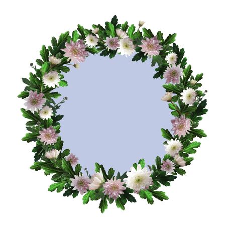 Wreath of flowers with space for text. Round frame with white and pink chrysanthemums, green leaves and twigs. Flowers and plants are arranged in a circle.の写真素材
