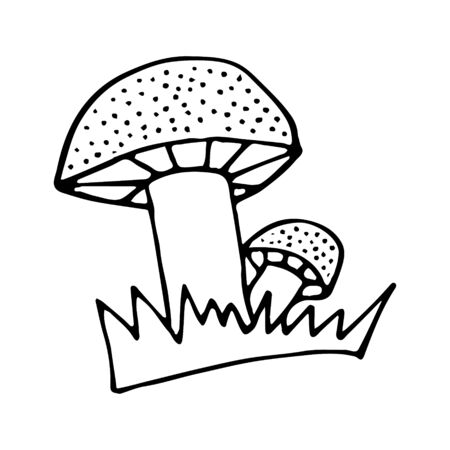 Black and white mushrooms in the grass doodle sketch. Vector illustration for coloring book, card, stickers.のイラスト素材