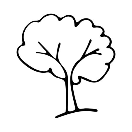 Black and white tree doodle sketch. Oak vector illustration for coloring book.のイラスト素材
