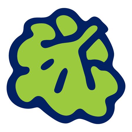 Colored broccoli doodle sketch illustration on white background.の写真素材