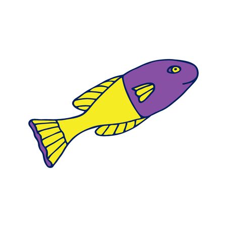 Vector colored sea fish illustration on white background.の写真素材