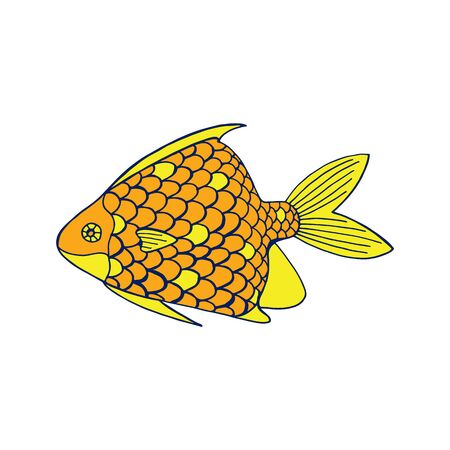 Vector colored sea fish illustration on white background.の写真素材