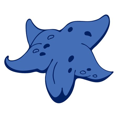 Vector colored sea fish illustration on white background.の写真素材