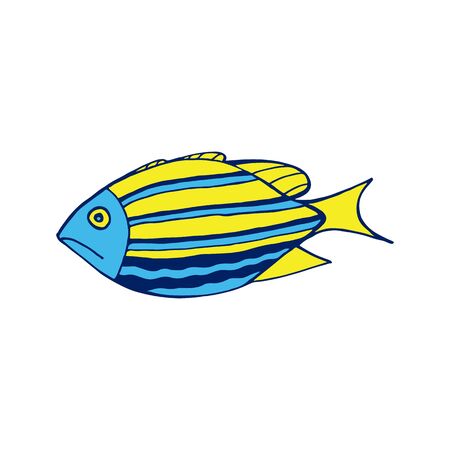 Vector colored sea fish illustration on white background.の写真素材