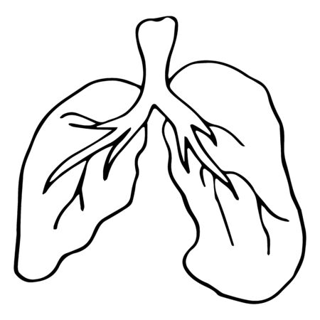 Icon Of Human Lung Isolated On White Background.  Coronavirus Theme. Design Element For Poster, Card, Banner, Sign.のイラスト素材
